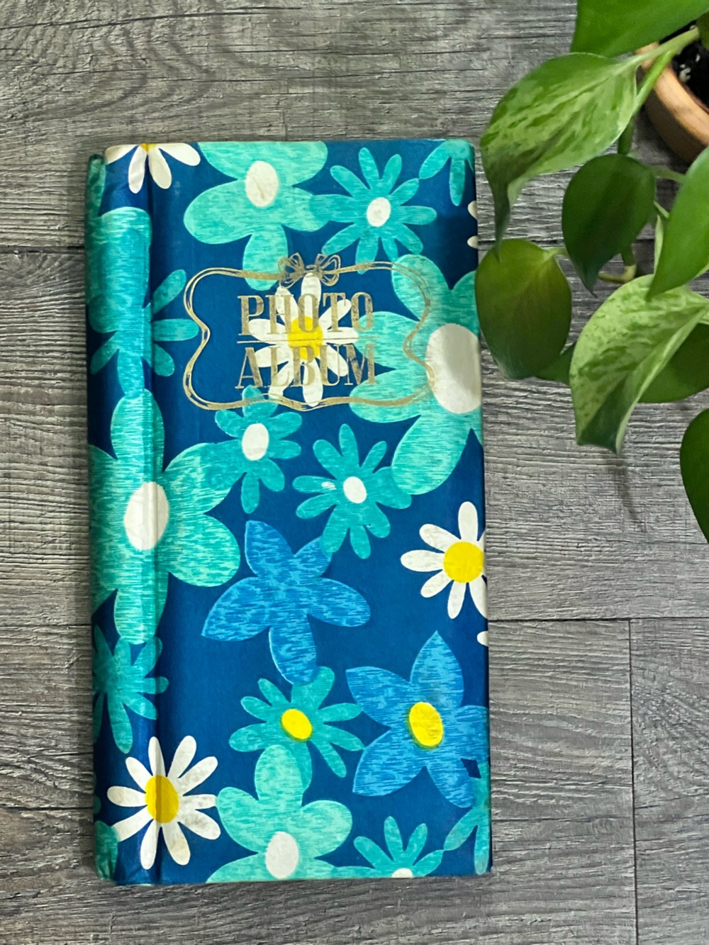 1960s / 70s Vintage Floral Photo Album Blue Daisies Flower Power
3.5 X 4.5 Photo